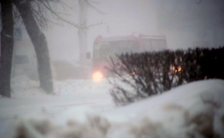 Более 40 междугородних автобусных рейсов отменили в  Барнауле из-за метели