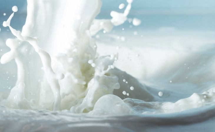 Суд признал "Майма-Молоко" банкротом