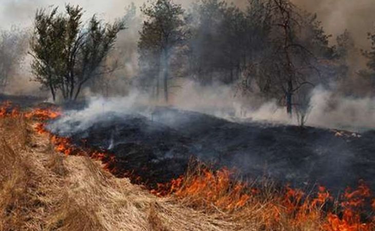Возбуждено дело против чиновников Забайкалья, ответственных за тушение лесных пожаров