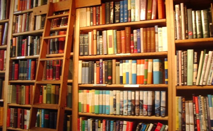 Более 230 библиотек примут участие в акции "Библионочь-2015" на Алтае