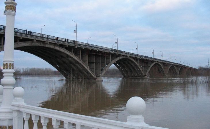 Женщина в Бийске покончила с собой, спрыгнув с Коммунального моста
