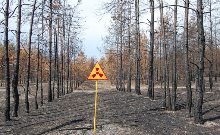 МЧС заявляет о нормальной радиационной обстановке в регионах России после пожара в Чернобыле
