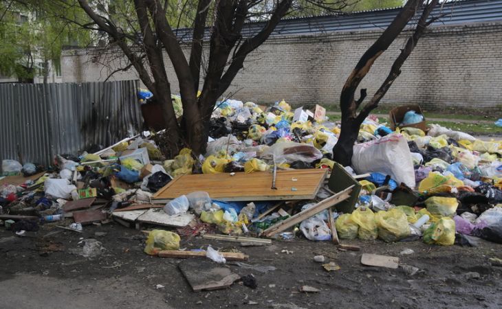 Жителям Барнаула предложили доносить об экологических преступлениях