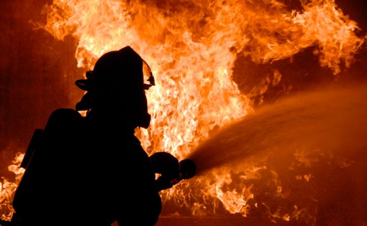 Трехлетний ребенок и две женщины сгорели на даче на Алтае