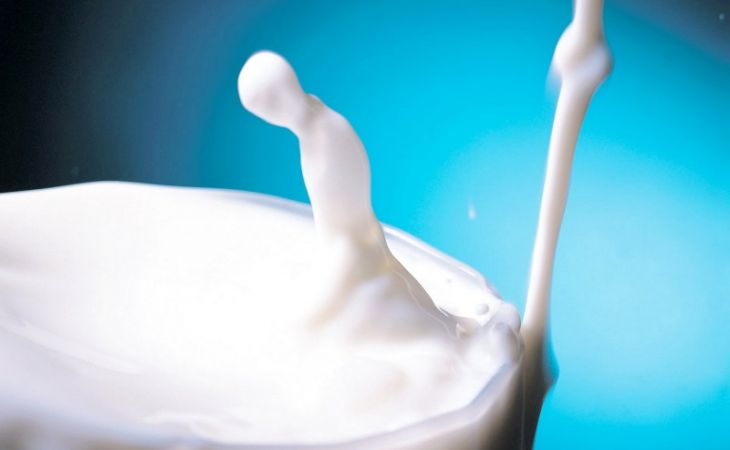 Власти Алтайского края будут отслеживать закупочные цены на молоко
