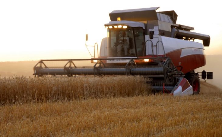 Ткачев заявил, что регионы довели до сельхозпроизводителей 40% субсидий
