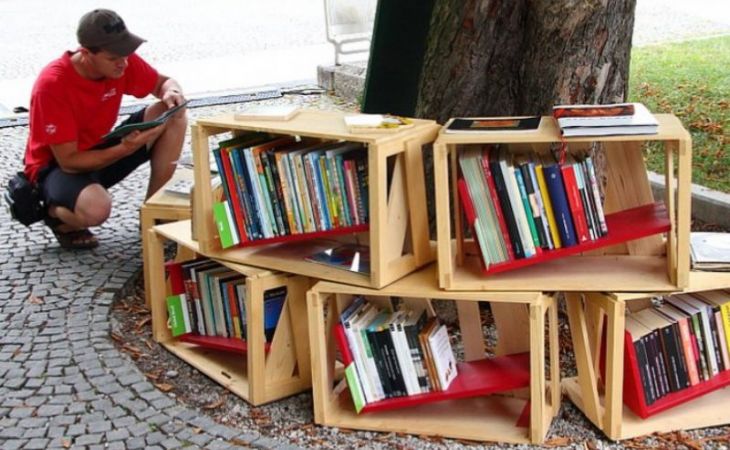 Первая уличная библиотека на Алтае появится в Бийске