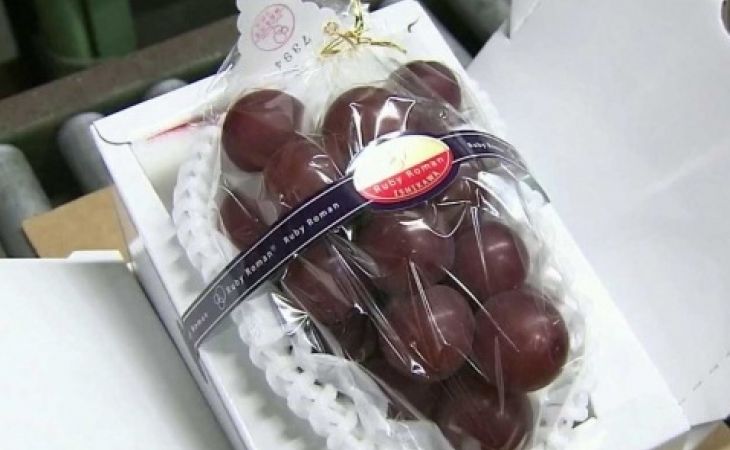 В Японии за 8,2 тысячи долларов продали виноград размером с мячик для пинг-понга