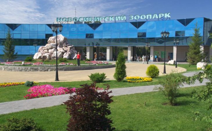 Новосибирский зоопарк стал одним из лучших в Европе