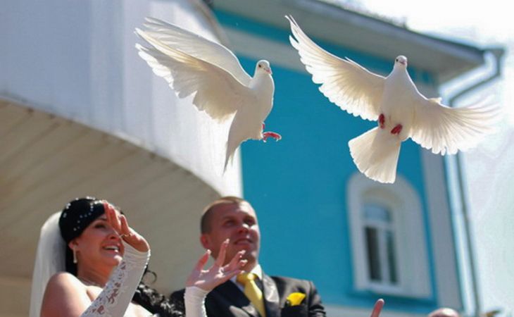 Барнаульцы продолжают с размахом гулять на свадьбах, несмотря на кризис