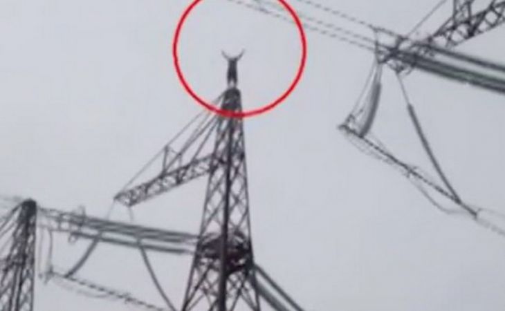 "Человек-паук" в Барнауле залез на 50-метровую ЛЭП