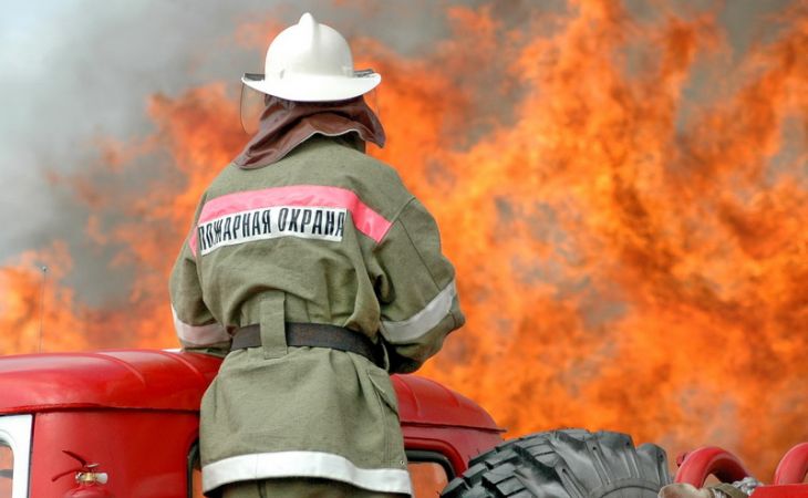 Площадь лесных пожаров в Сибири за сутки сократилась на 7,3 тысячи гектаров