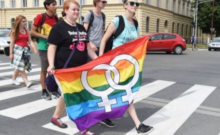Гей-парад в Чехии перепутали с шествием против нелегальной миграции