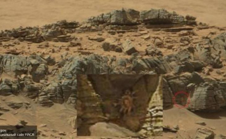 На снимке поверхности Марса от NASA обнаружен гигантский краб