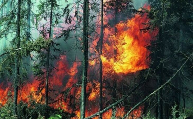 Оперативное предупреждение в связи с высокой пожароопасностью передано в Алтайском крае