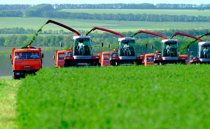Россельхозбанк направил на поддержку клиентов малого агробизнеса 440 млрд рублей