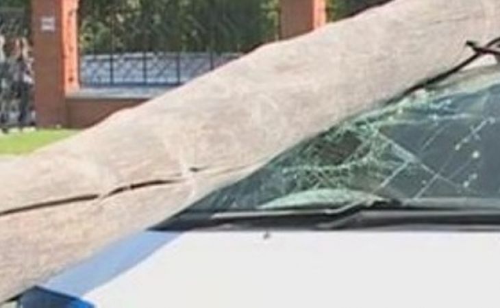 В Барнауле упавший столб раздавил автомобиль