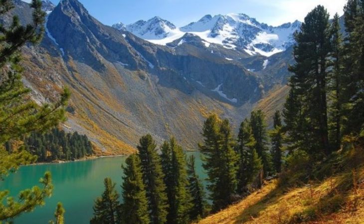 Greenpeace обнаружил в горах Алтая опасные промышленные химикаты
