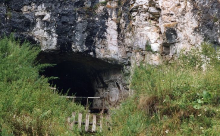 Ученые из Британии узнали возраст денисового человека, жившего на Алтае