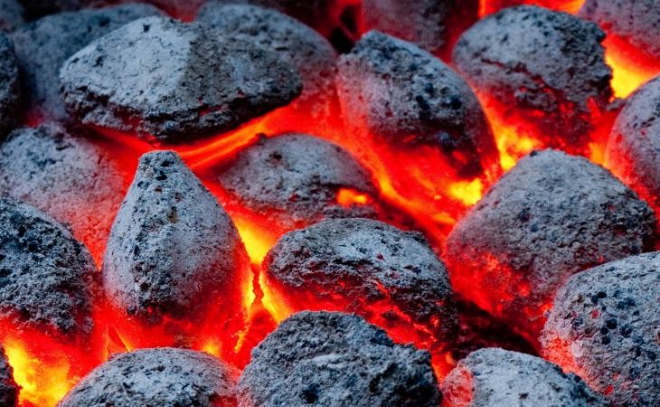 Власти Алтая до сих пор не могут приобрести угля на зиму для предприятий бюджетной сферы
