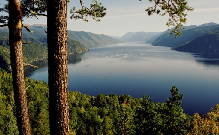 Первый трансграничный биосферный резерват в РФ создается на базе Катунского заповедника
