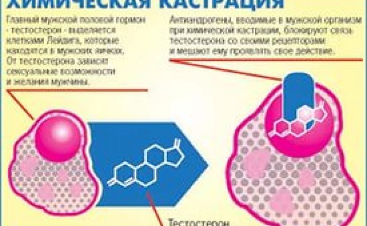 В Госдуму поступил законопроект о химической кастрации для педофилов
