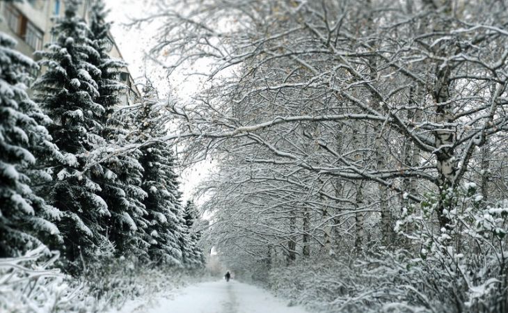 Барнаул накрыло снегом - фото