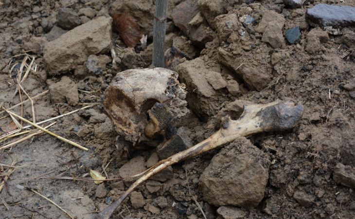 Фрагменты мундиров нашли на раскопках в Нагорном парке в Барнауле