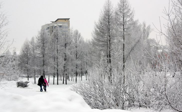 Алтайские синоптики рассказали, что февраль будет теплее нормы