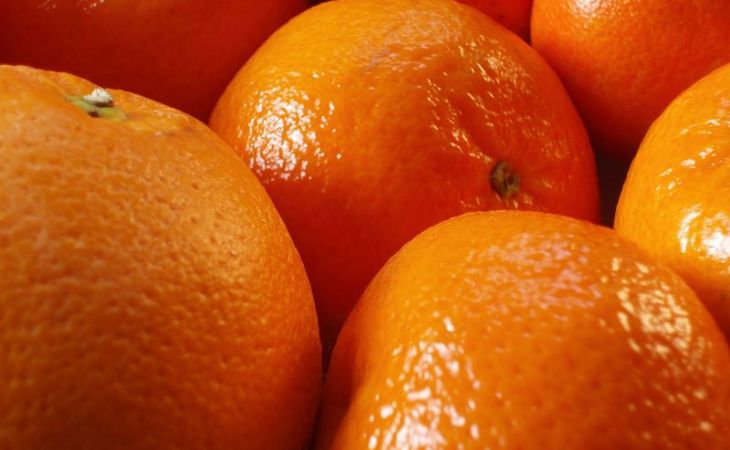 Россельхознадзор на Алтае не пощадил 41 килограмм турецких апельсинов