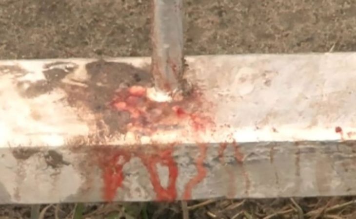 В крови школьницы, на которую напал тигр в барнаульском зоопарке, нашли алкоголь