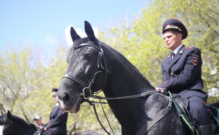 На барнаульском ипподроме пройдет праздник "За Победой – на коне"