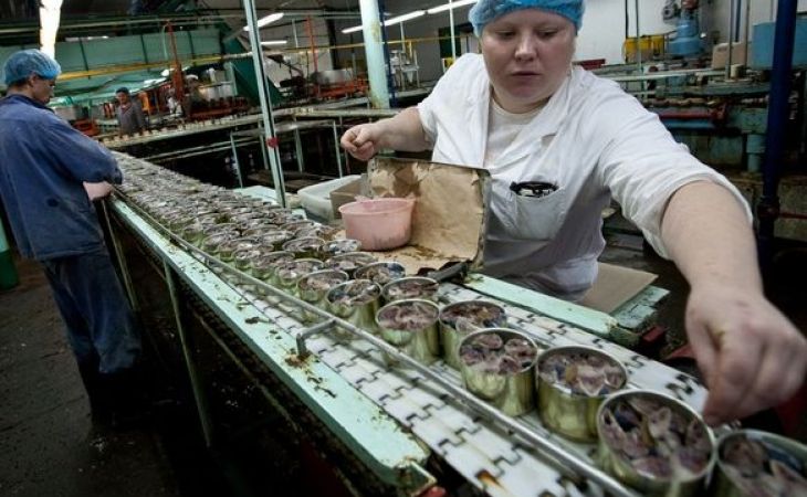 Сотрудники рыбокомбината на Шикотане попросили Путина остановить проверки
