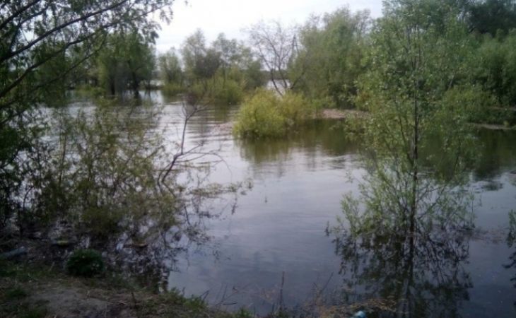 Угроза ЧС из-за резкого повышения уровня рек объявлена в Алтайском крае