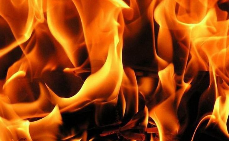 10-летняя девочка сгорела на отдыхе в Алтайском крае
