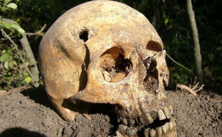 Жительница Сибири раскопала на своей даче скелет в одежде