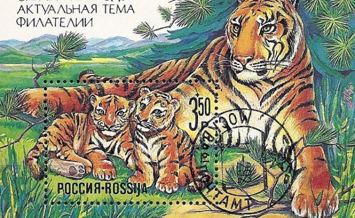 Россияне могут помочь амурским тиграм от исчезновения