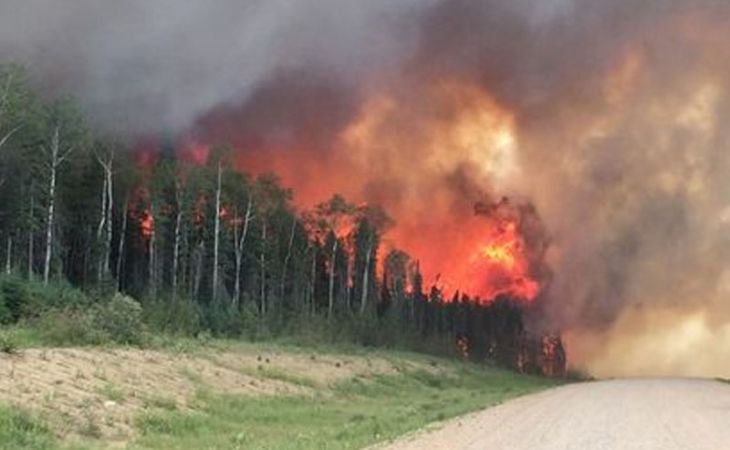 Ситуацию с лесными пожарами в Иркутской области признали самой сложной в Сибири