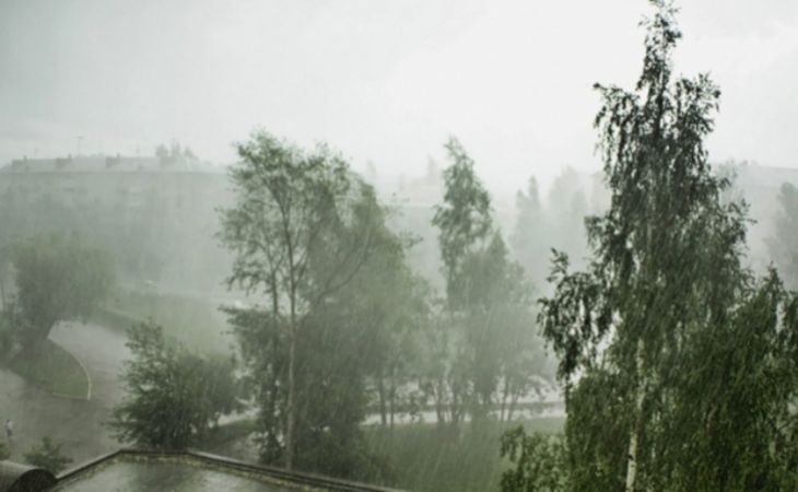 Ливни, град и шквалистый ветер прогнозируют в Алтайском крае 28 июня