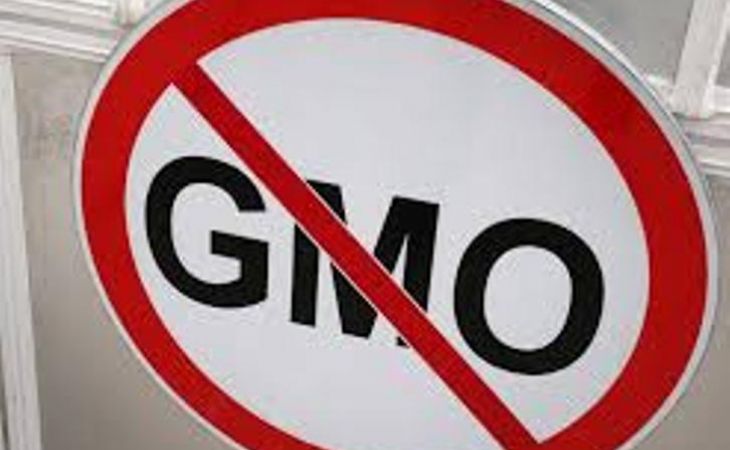 Путин подписал закон о запрете ГМО