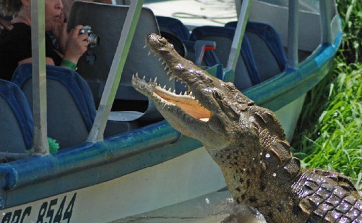 Туристов в Таиланде запускали в пруд с крокодилами