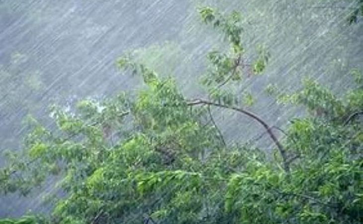 Грозовые дожди с  градом ожидаются в Алтайском крае в понедельник