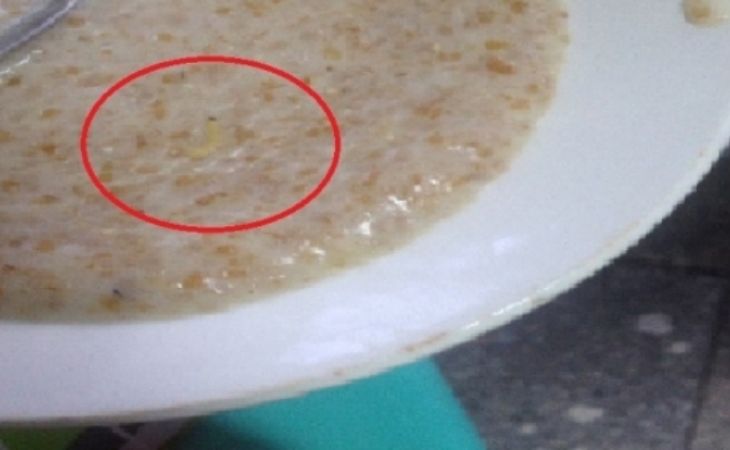Черви в еде и повсюду тараканы: жительница Барнаула пожаловалась на условия в детской больнице