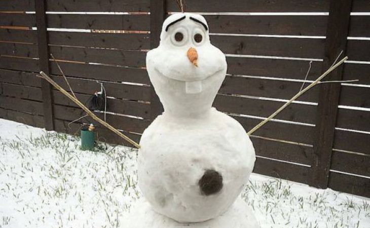 Новосибирск засыпало первым снегом - фото