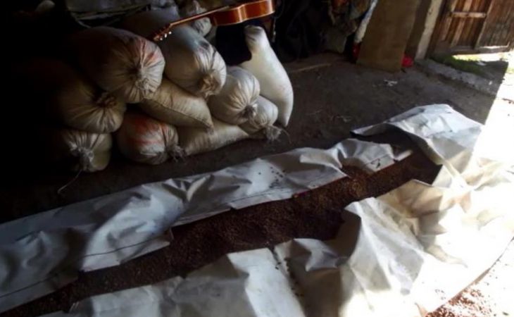 На Алтае полиция поймала злоумышленника, укравшего семь мешков кедровых орехов