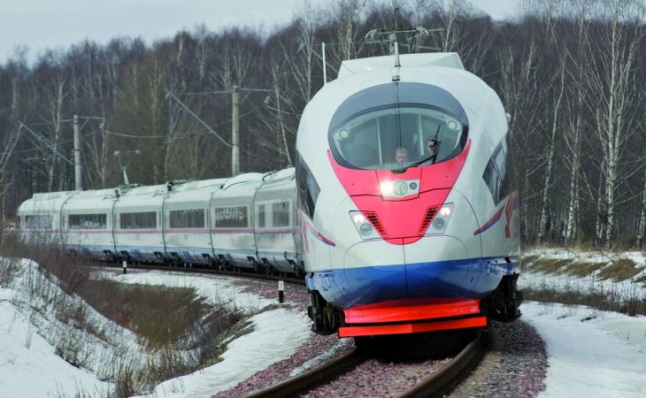 Скоростные поезда между Москвой и Петербургом застряли из-за первого снега