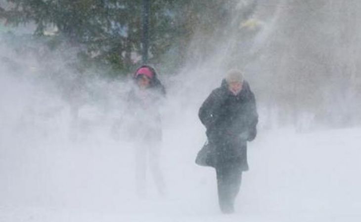 Снегопад и порывистый ветер прогнозируют синоптики в Алтайском крае на пятницу