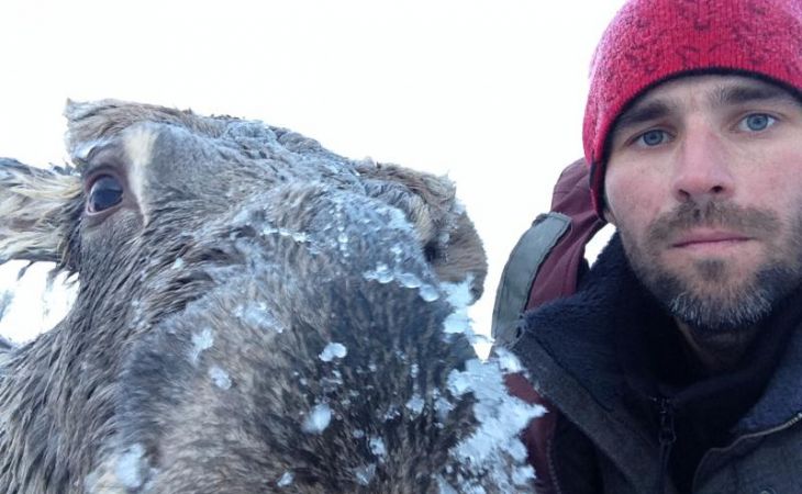 Герой дня: барнаульский рыбак спас лося, провалившегося под лед
