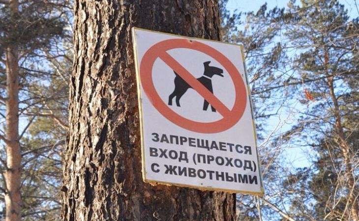 Барнаульцев будут штрафовать за несоблюдение правил содержания домашних животных