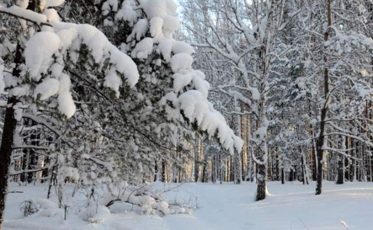 Снег и плюсовая температура ожидаются в среду в Алтайском крае